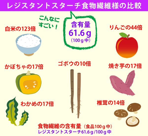 第6の栄養素・食物繊維 Dietary_fiber バナナスターチ ドットコム