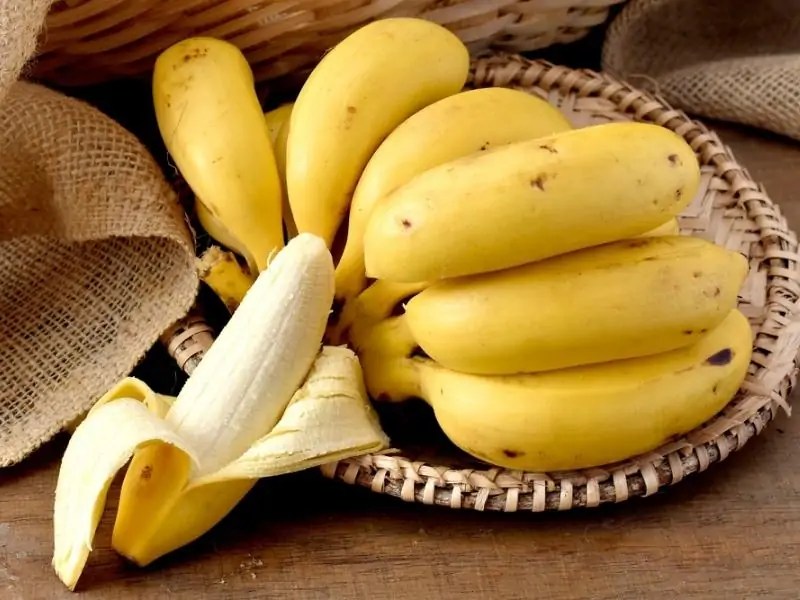Cavendish Banana Origin, Nutrition & Amazing Benefits Banana Dose