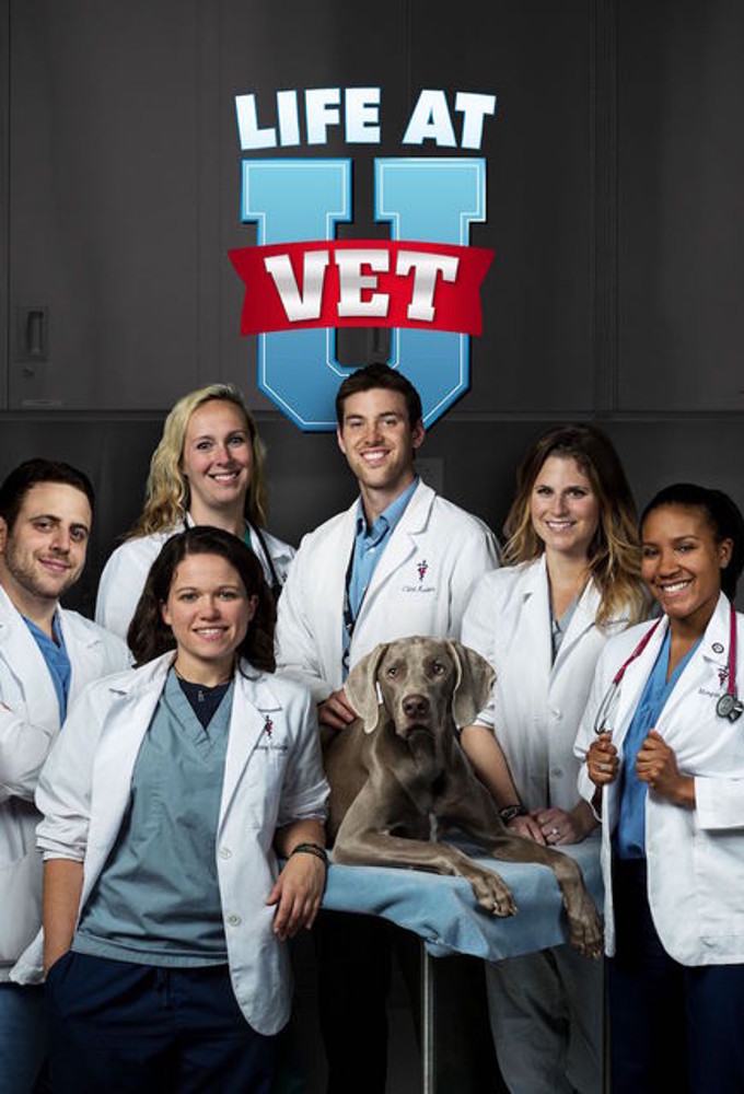 Banco de Séries Organize as séries de TV que você assiste Dr. Dee