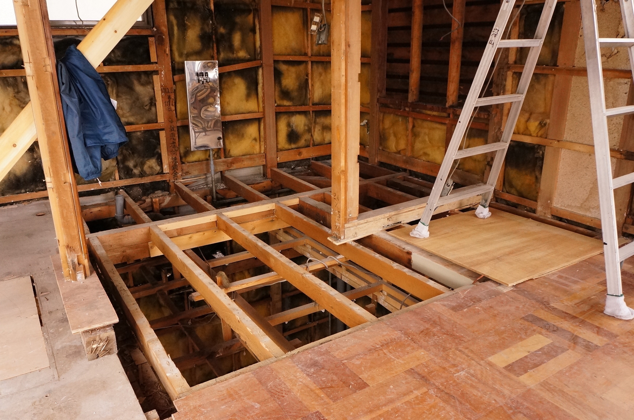 Accueil - bande-resiliente-liege.fr