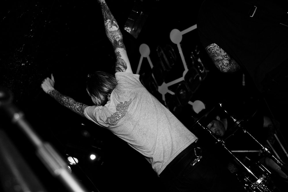PHOTO COVERAGE EVERGREEN TERRACE CHAIN REACTION