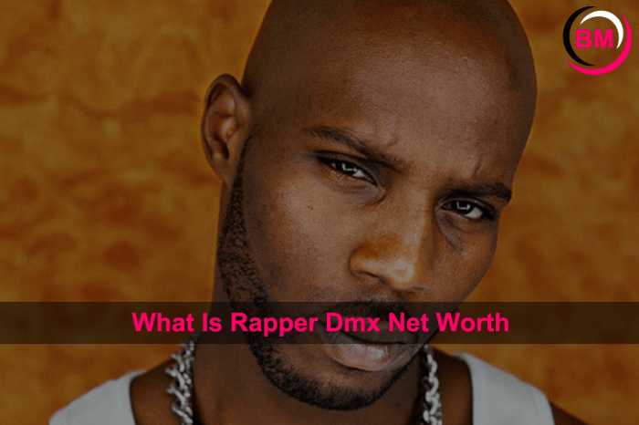 That's the Truth About DMX Net Worth - Newbyo