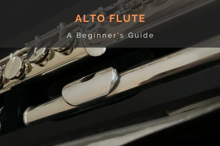 The Alto Flute (Beginner's Guide)(03)