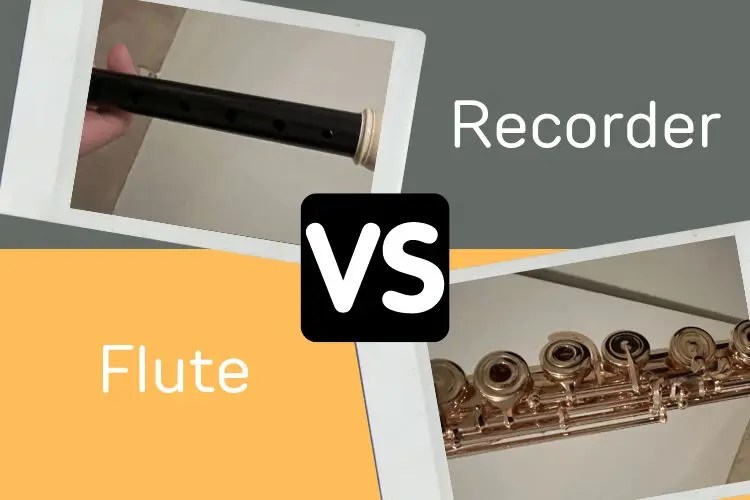 Recorder 🆚 Flute Main Differences (and Similarities)