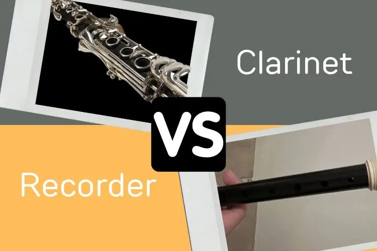 Recorder vs Understanding Their Differences 🆚 Learn their