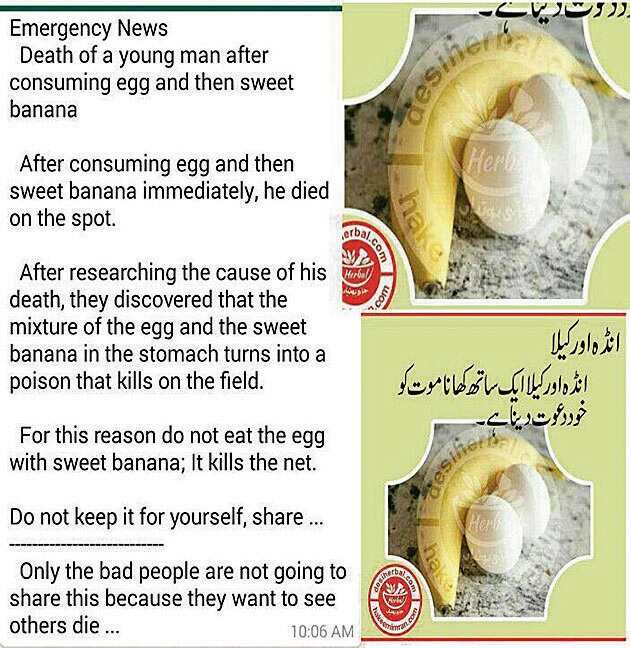 Fake News Buster Man dies after eating egg and sweet banana
