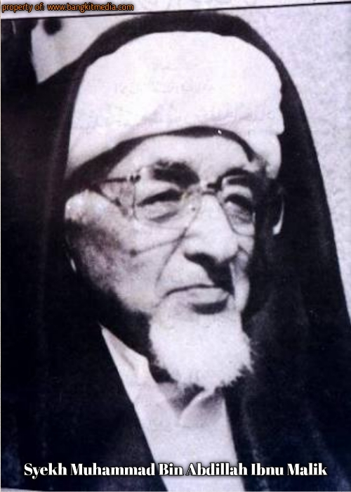 Kisah Ibnu Malik Pengarang Bait Alfiyah Lahirkan Ulama Besar