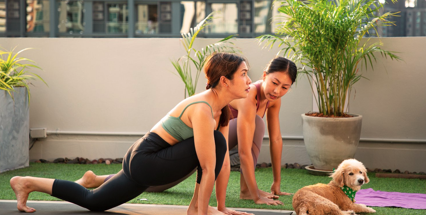 Finding pet friendly condos in Bangkok (Sukhumvit) Bangkok Living