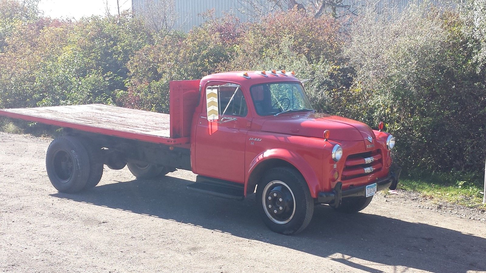 Just What Brian Needs A 1954 Dodge JobRated Truck With