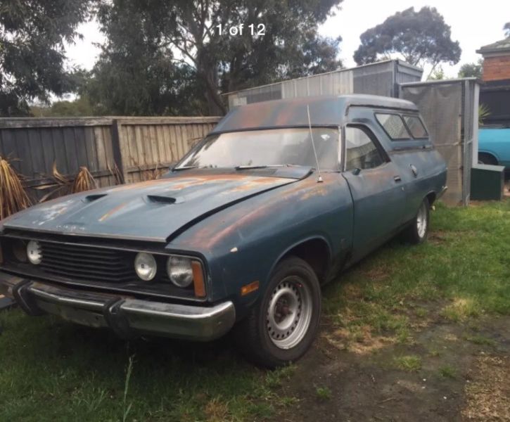 Rough Start Want An Aussie Falcon But Need Space? This