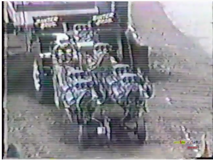 The Oddball Banter Brothers SideSeater Tractor In Action