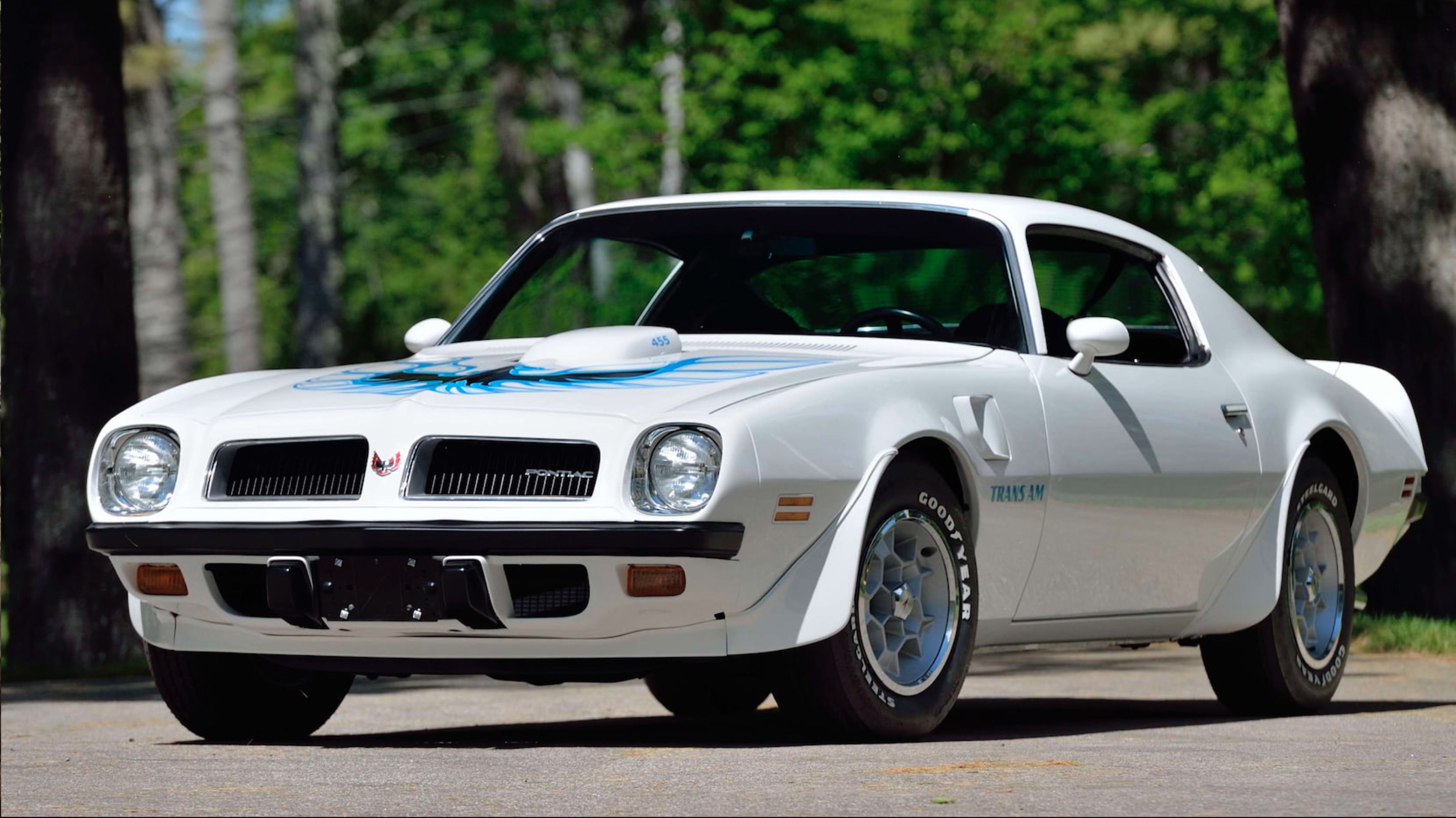 Money No Object 1974 Pontiac Trans Am 455, Looking Cool