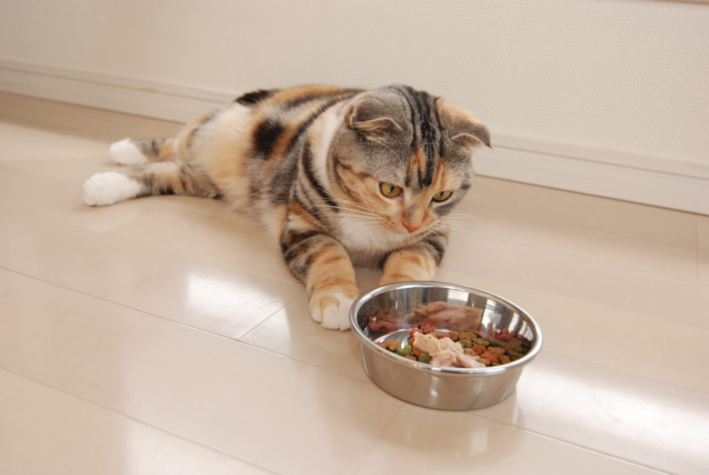 Nutrition Beverly Animal Natural Health Center