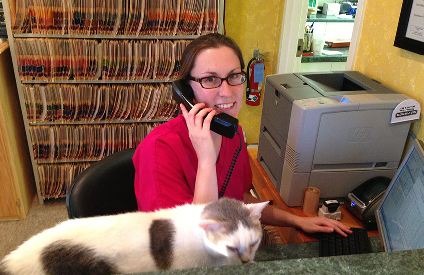 Call In Hours Beverly Animal Natural Health Center