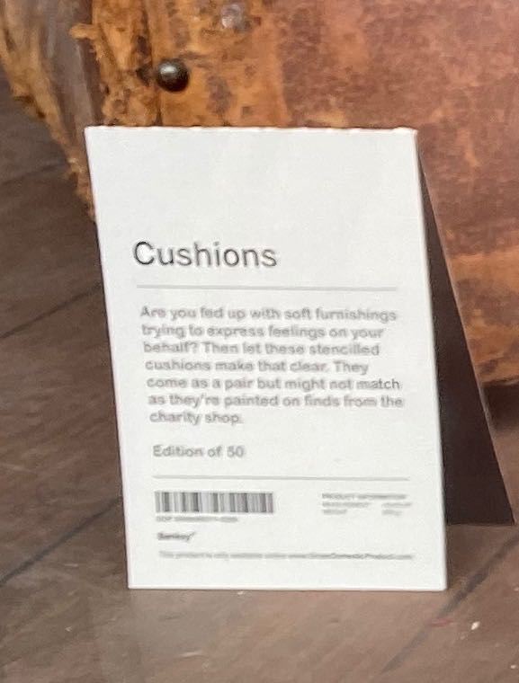 Banksy™ Cushions Banksy Explained