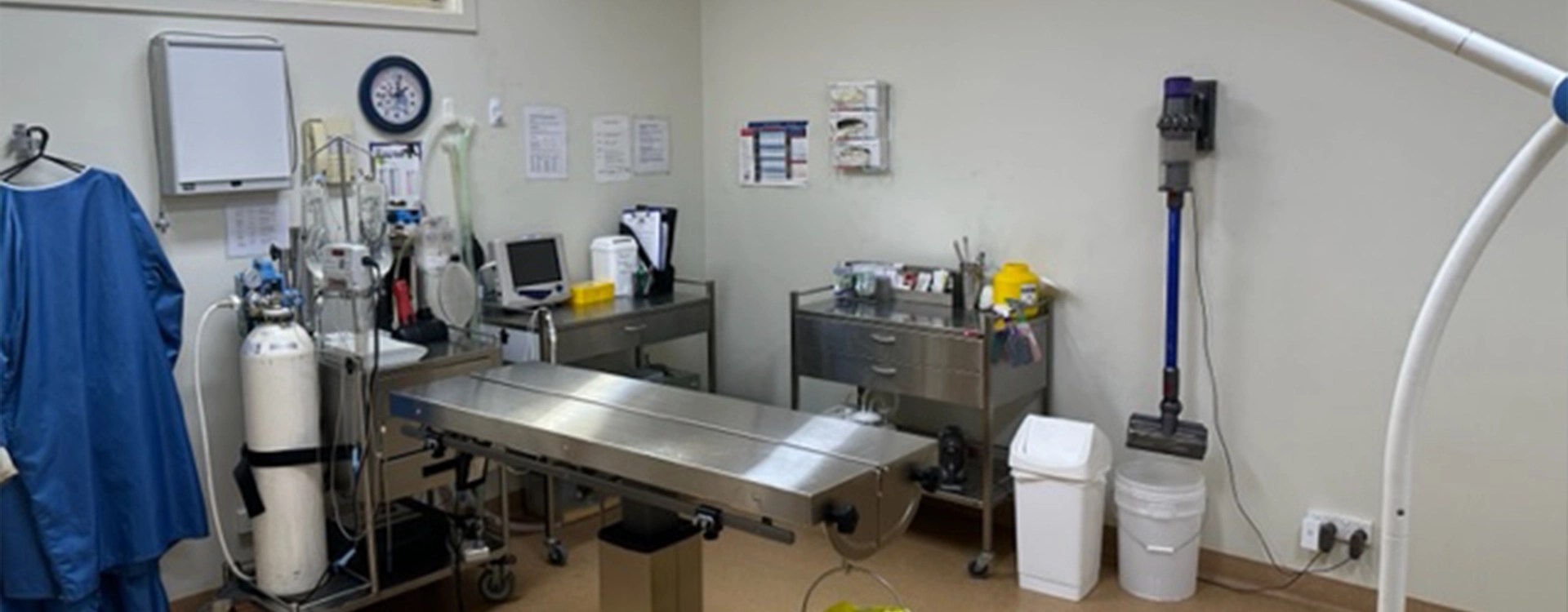 Surgical Facilities Bannockburn Veterinary Clinic
