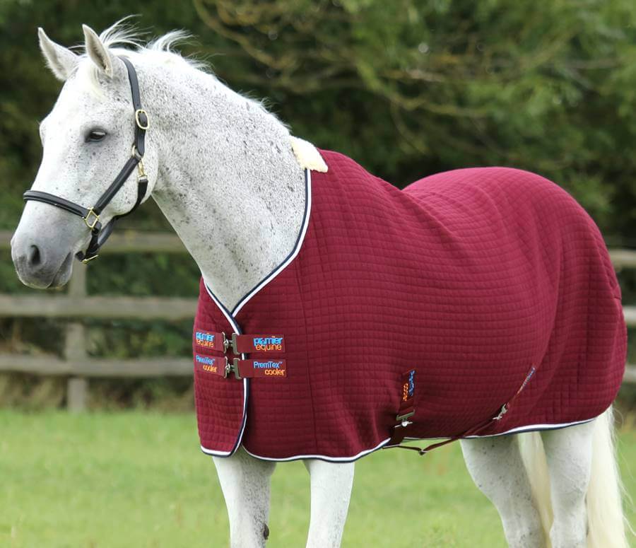 Import Horse Rugs from China, Horse Rugs Factory Supplier in China