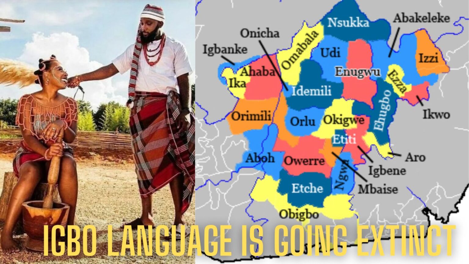The Rapid Extinction Of The Igbo (and other Nigerian) Languages bantupage