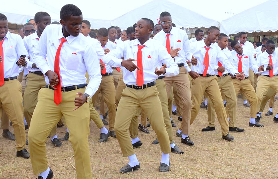 curriculum Baobab Schools