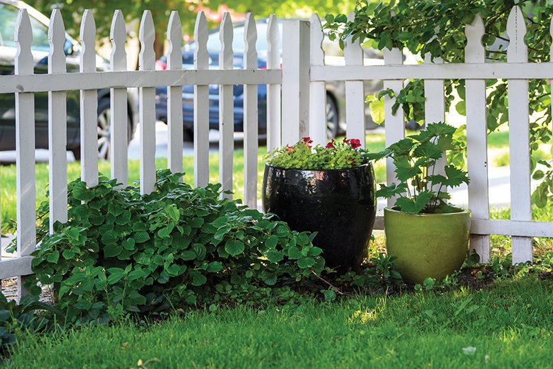 Garden Walk Beverly Area Planning Association