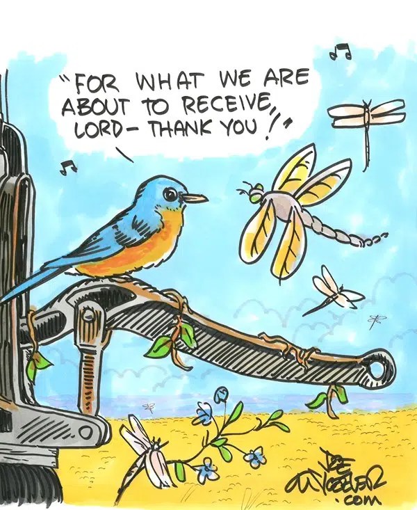 A bird's prayer Baptist Message