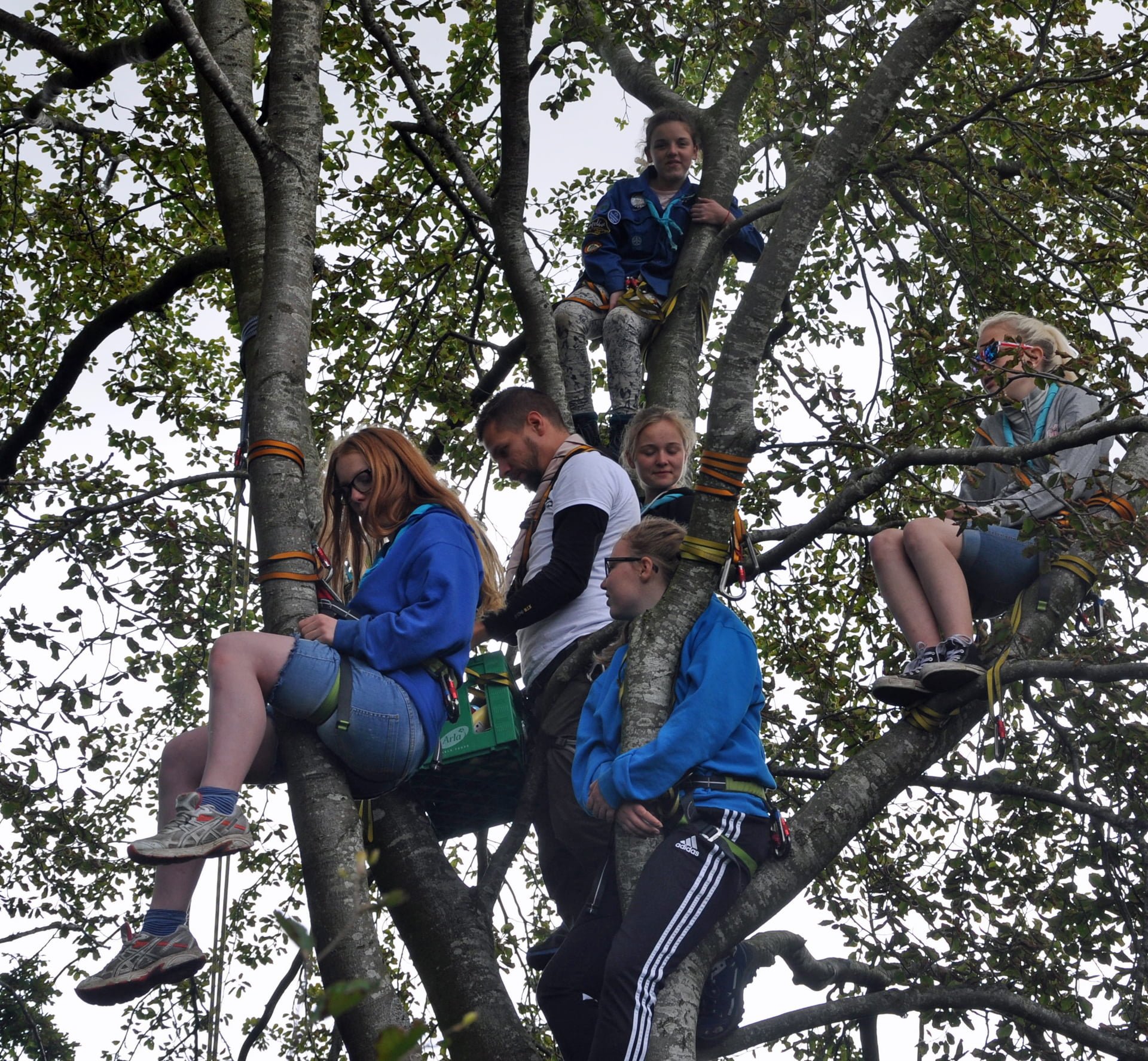 Forsikring Baptistspejderne