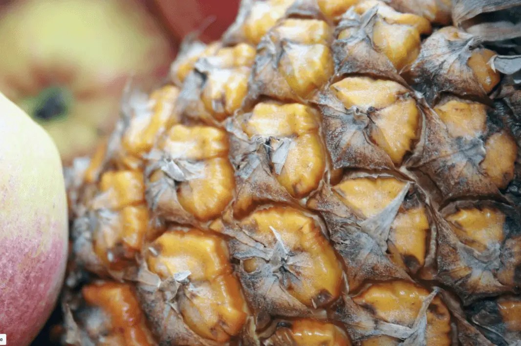 Pineapple Wine Recipe Homemade Besto Blog