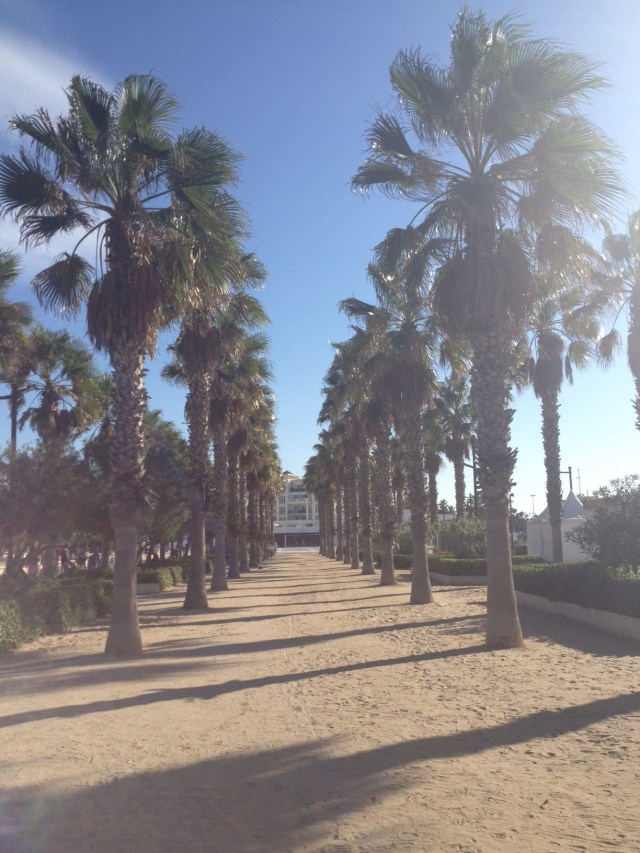 malvarosa beach palmtrees