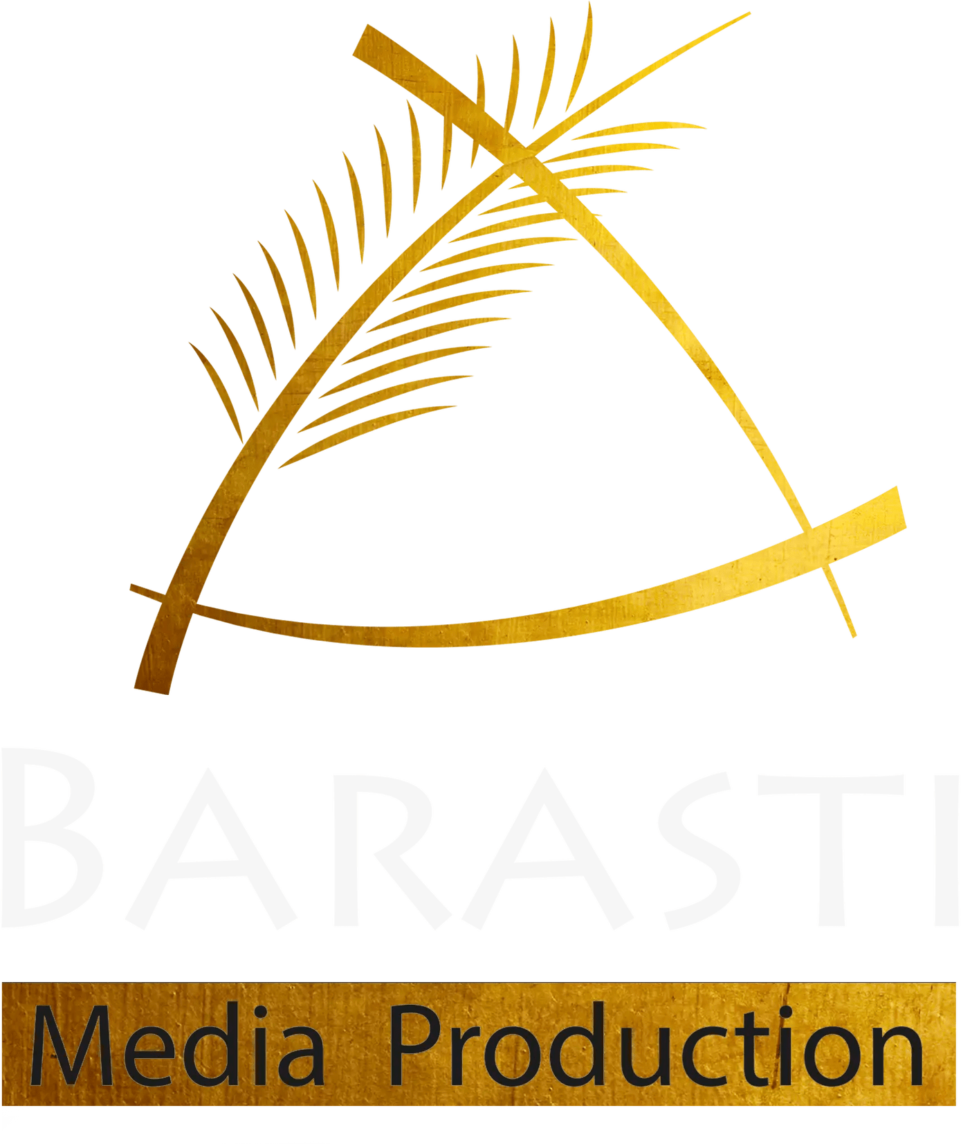 Film and TV Production Barasti Media Production
