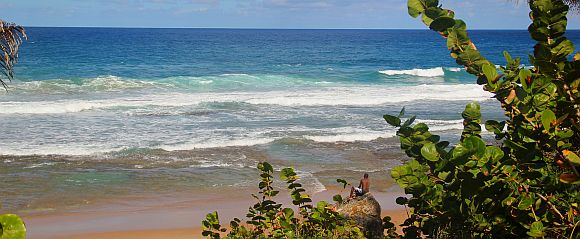 Barbados Beaches: Nude Bathing, Privacy, Vendors, Security