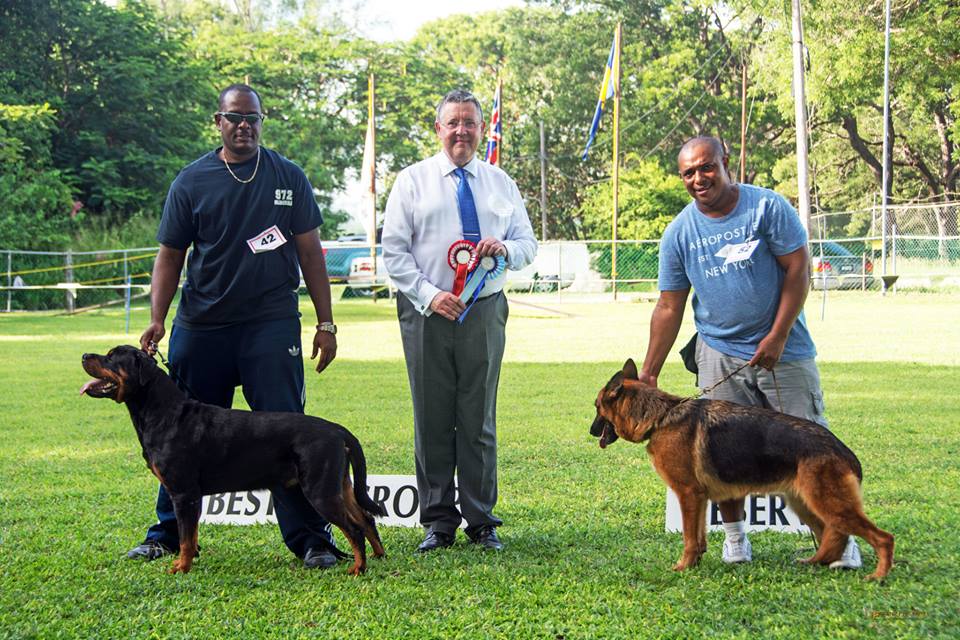 Barbados Kennel Club's October, 2014, All Breeds Championship Dog Show