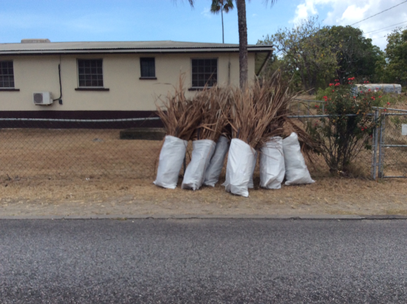 Waste Not, Want notWaste Not, Want notBringing News and Opinions to the