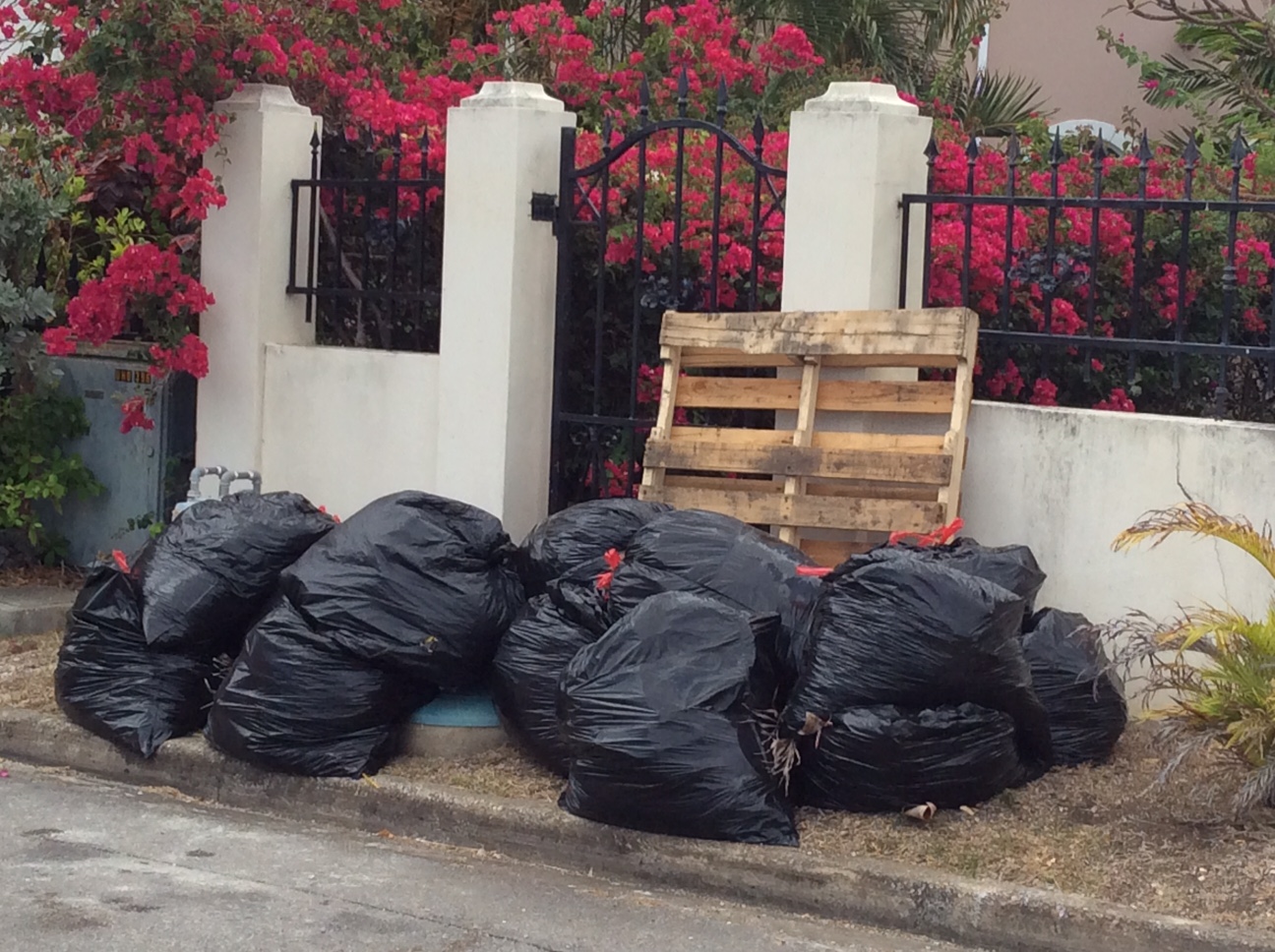 Waste Not, Want notWaste Not, Want notBringing News and Opinions to the