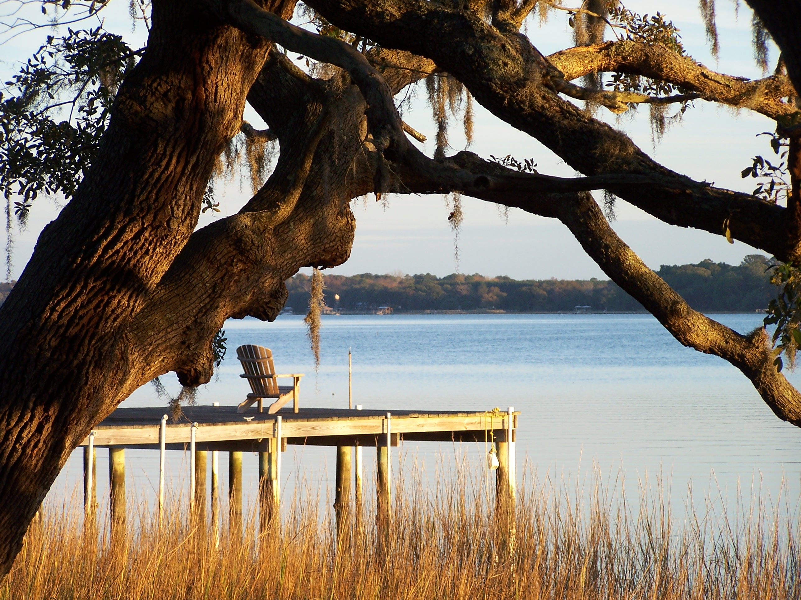 Live oak beauty on the water in Meggett, South Carolina…