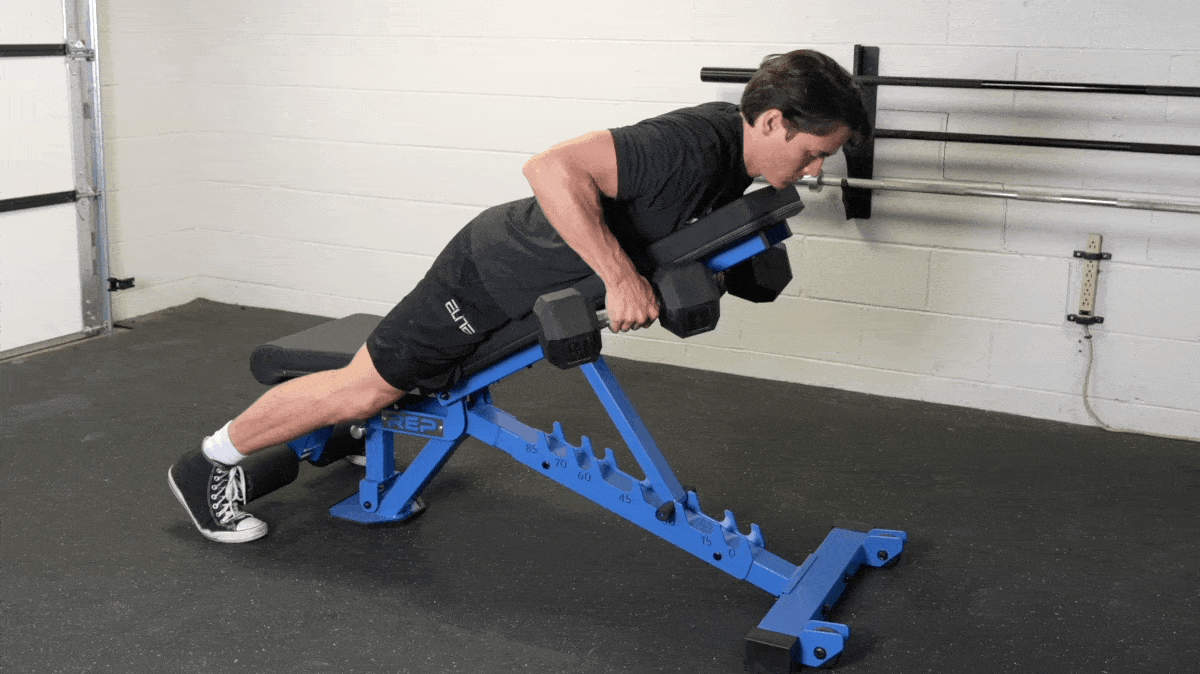 How to Do the Perfect Dumbbell Row Variations & Alternatives BarBend