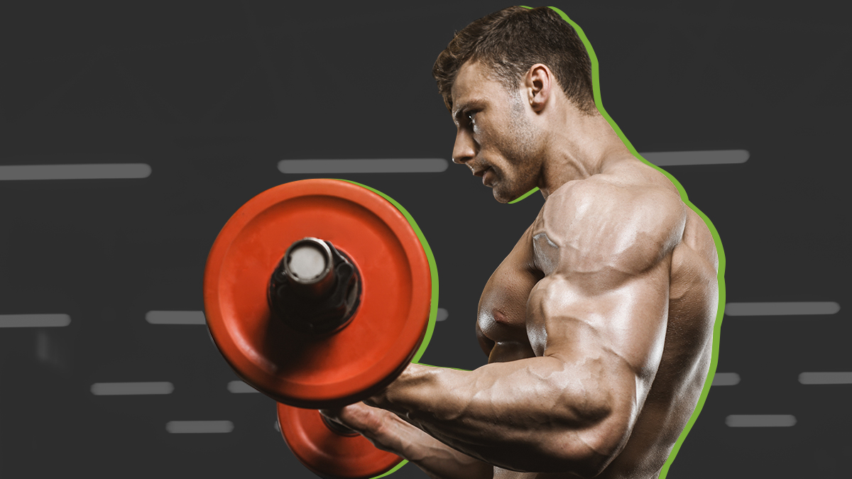 The Best Bodybuilding Programs for All Experience Levels BarBend