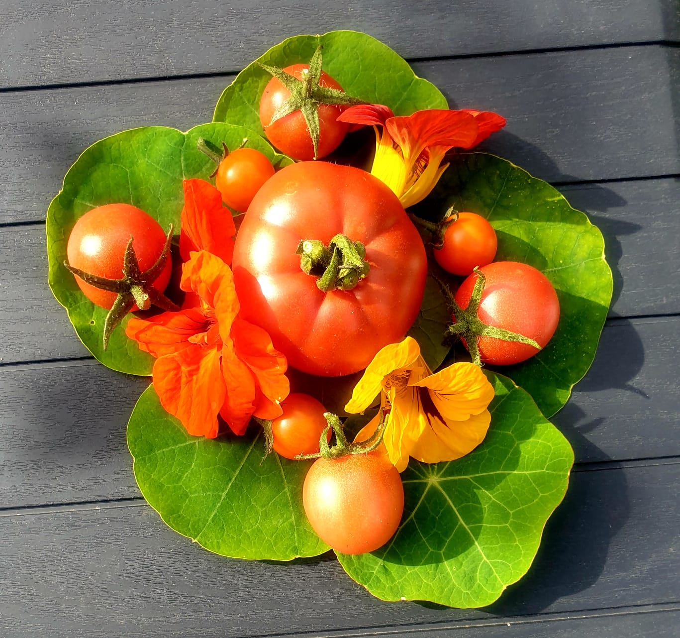 Barber Art Challenge The Barber Institute of Fine Arts