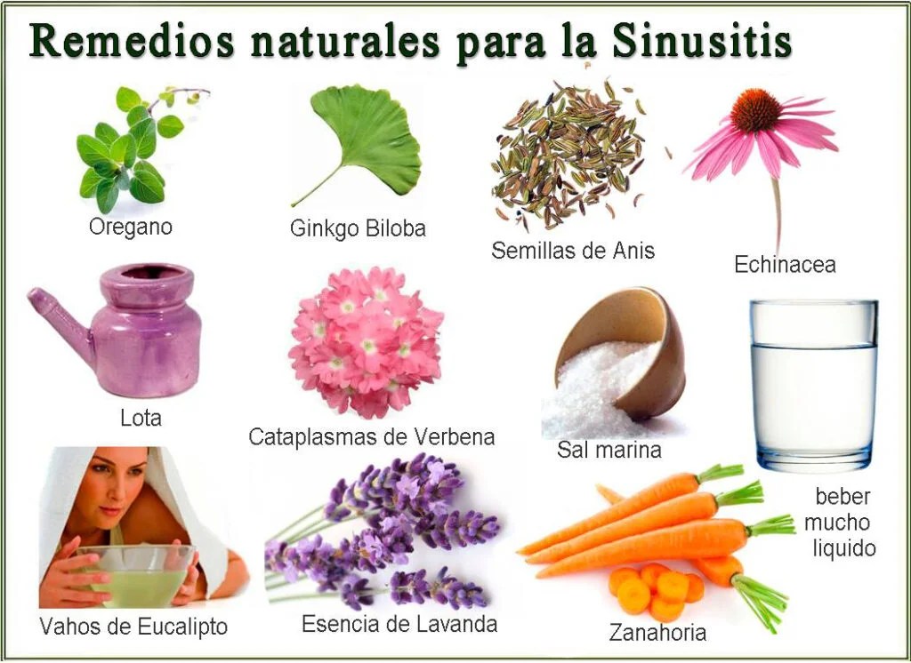 REMEDIOS NATURALES PARA TRATAR LA SINUSITIS Barcelona Alternativa