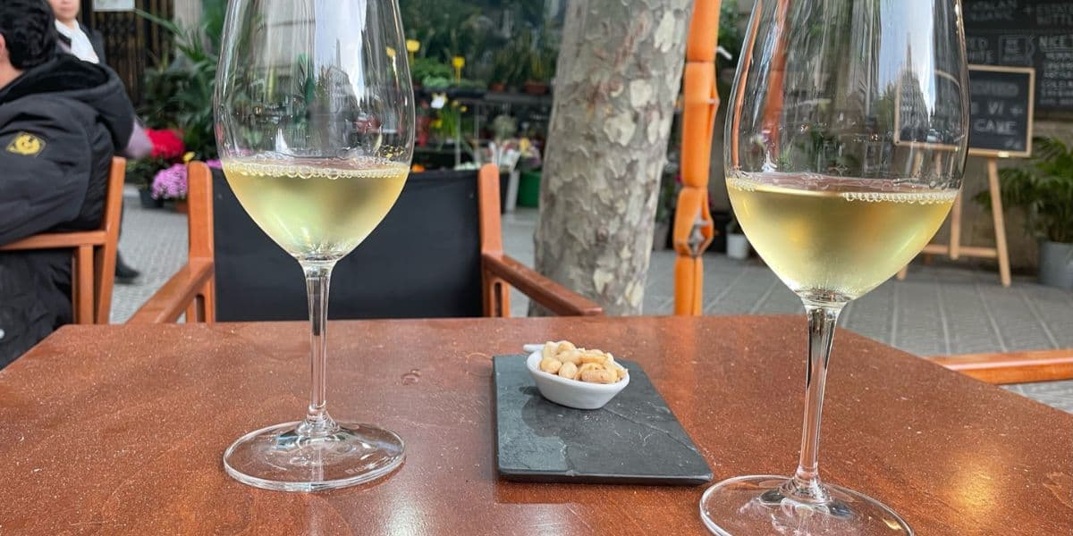 15 Best Barcelona Wine Tours & Tastings in 2024 Barcelona Uncovered