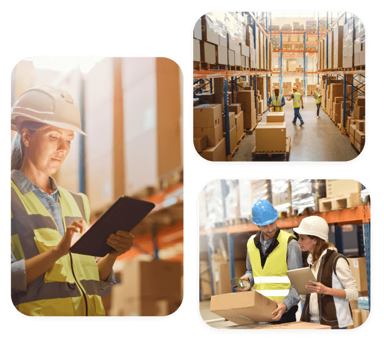 Best Warehouse Management System For All Your Warehouses