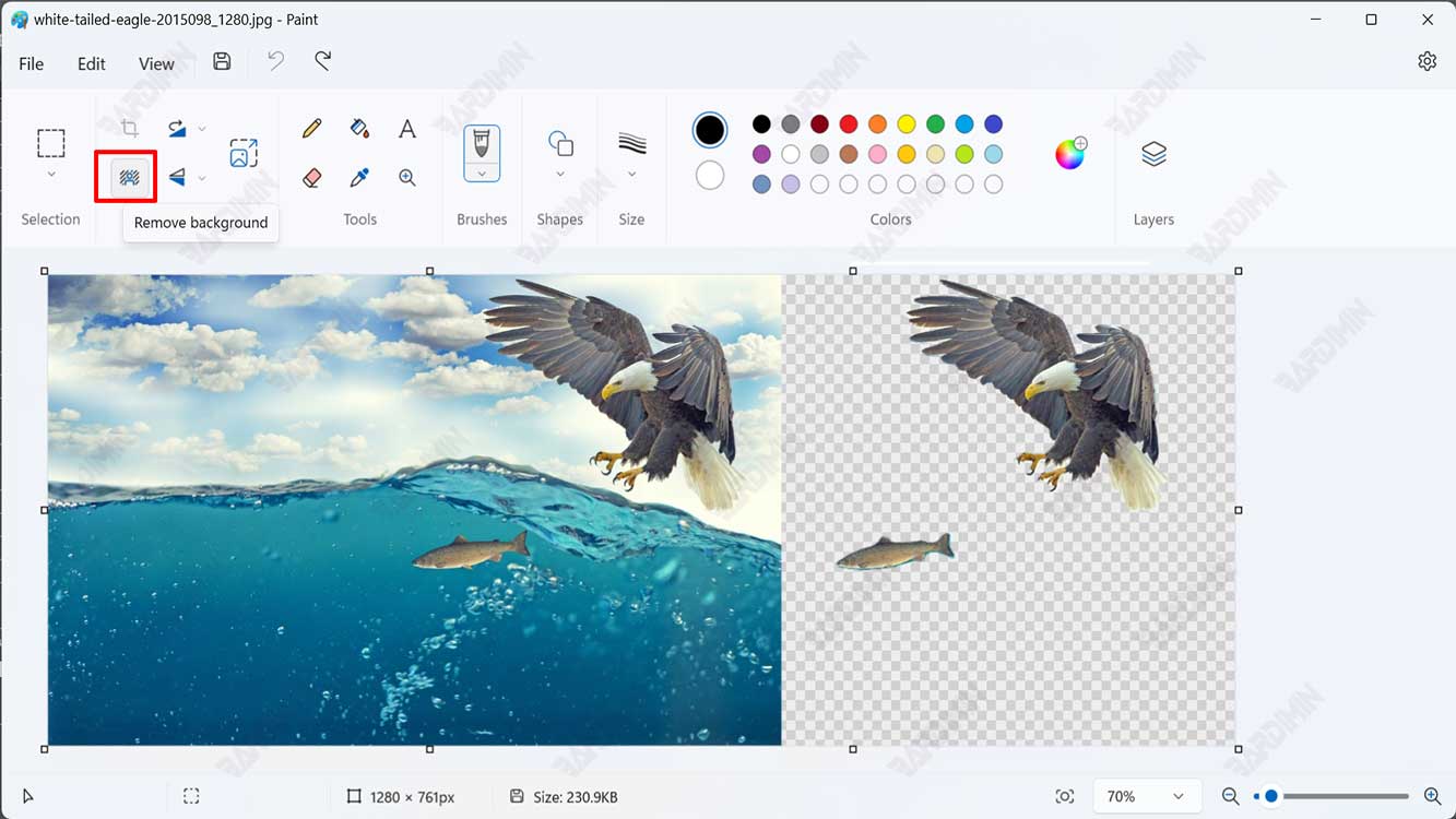 Corel photo paint remove image from background tolfbook