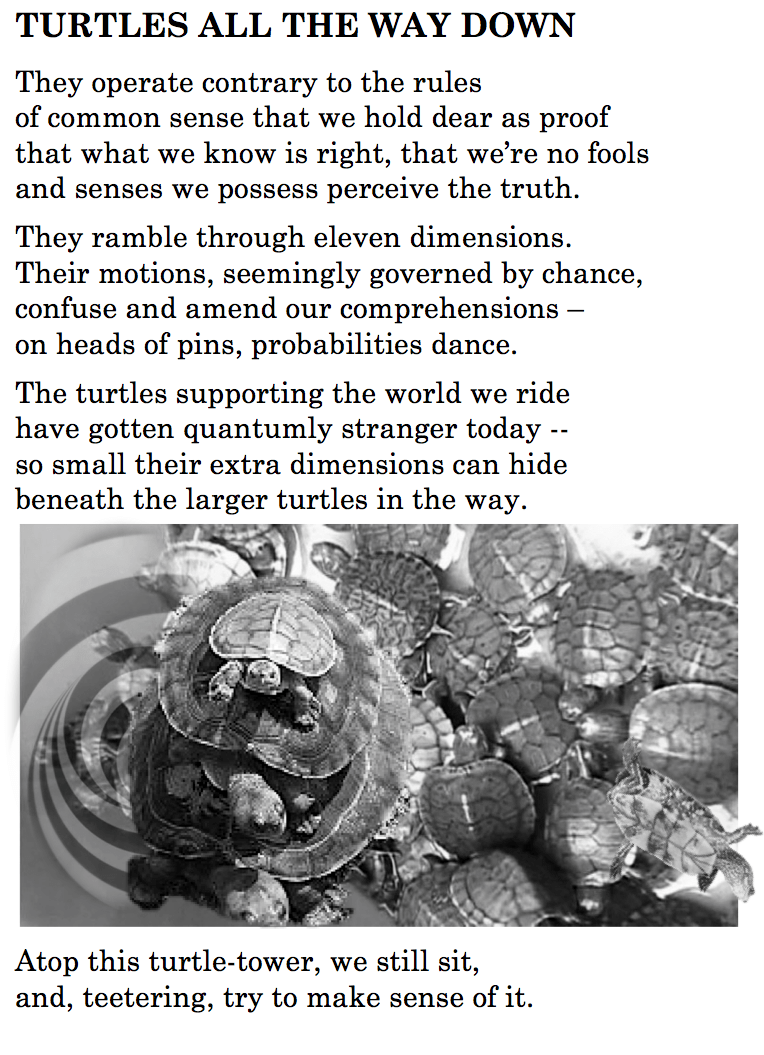 TURTLES ALL THE WAY DOWN BARD OF MARS