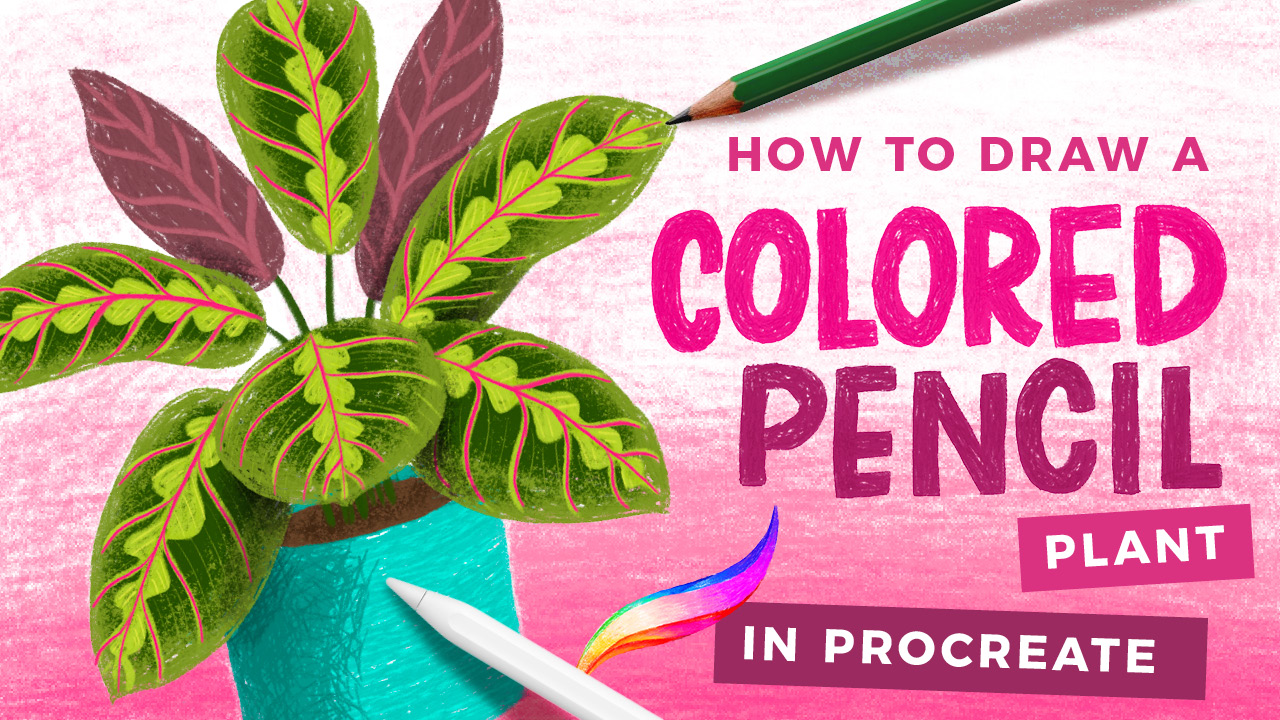 How to Draw a Colored Pencil Plant in Procreate • Bardot Brush