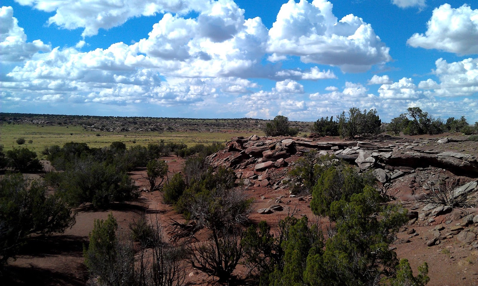 Sweet Corn Festival Taylor, AZ