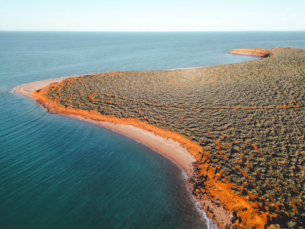 20 Best Things to Do in Shark Bay Western Australia