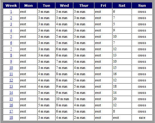 Shooting For A Marathon In Minimalist Shoes, The Barefoot Emerges, And I Learn What Over-Training Is:( | Barefoot Running: A Beginner's Tale