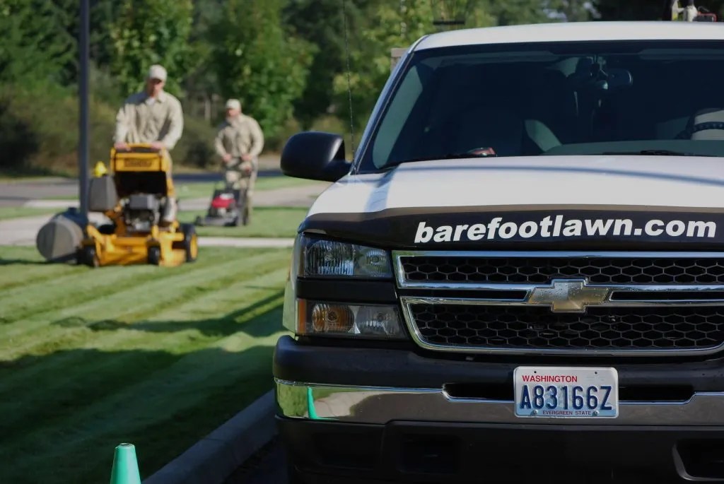 Pet Friendly Lawn Care Services DuPont Olympia Lawn care