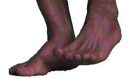 Home, BarefootRunning.com