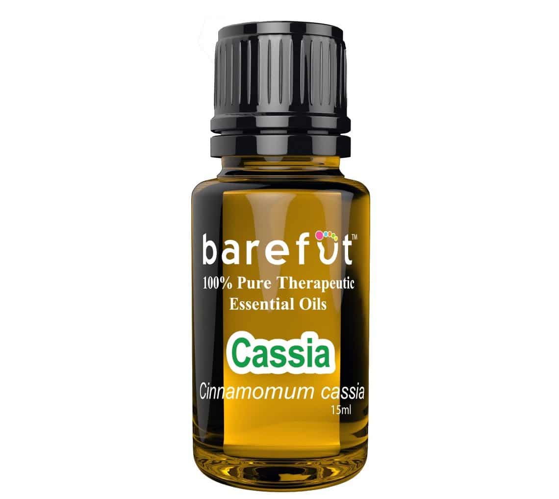 Cassia Essential Oil barefut Essential Oils 100 Pure Therapeutic