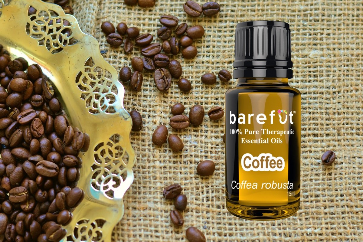 Coffee Essential Oil Barefut Essential Oils 100 Pure Therapeutic